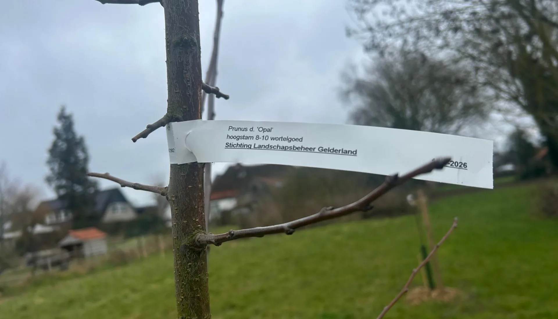 Whats App Image 2026 04 07 at 12 17 18