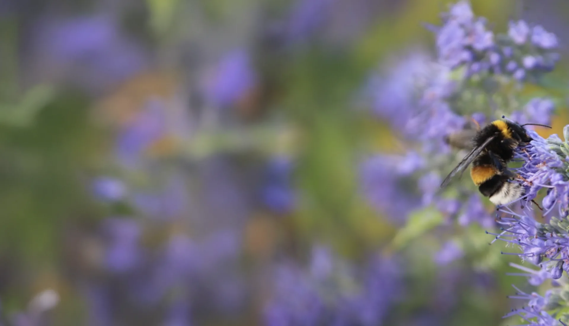 A6b94015264ce6c477c72ac4d890e2f8