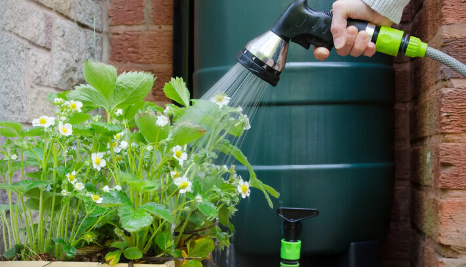 Regenton opvangen water 1