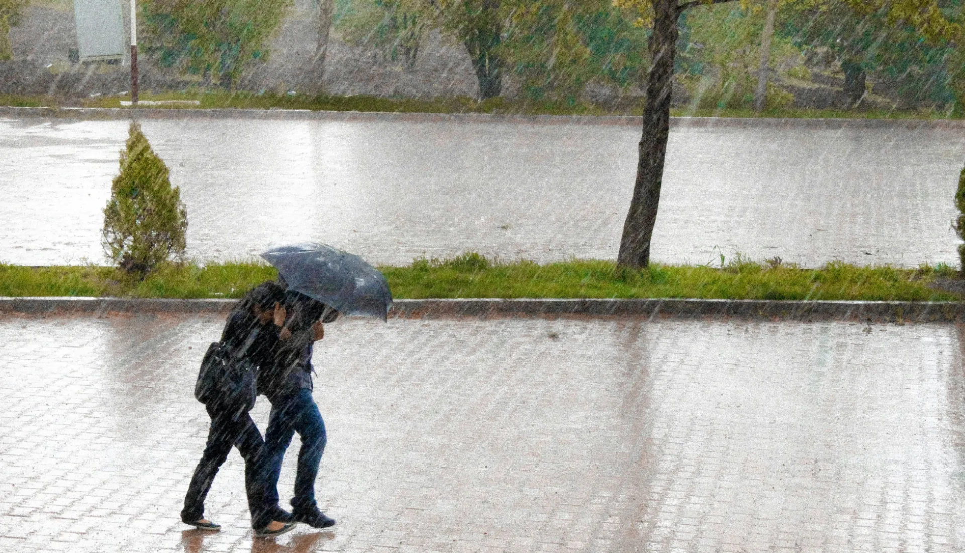 Ontwerp zonder titel 1