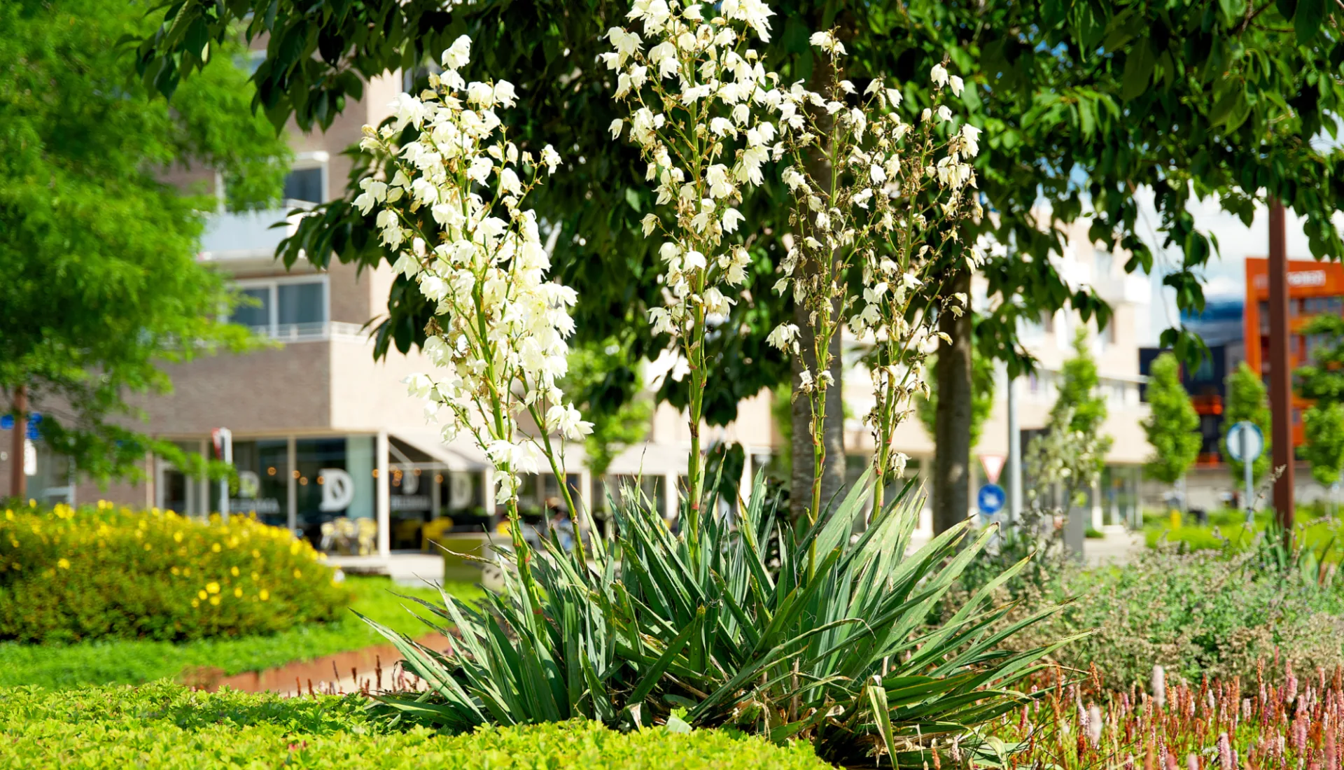 Centrum Duiven verbindingsweg 1