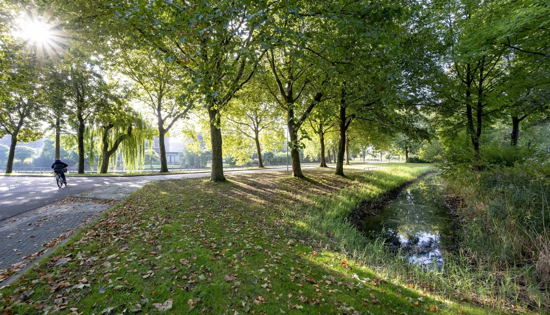 SG samen1nergie 1011klein