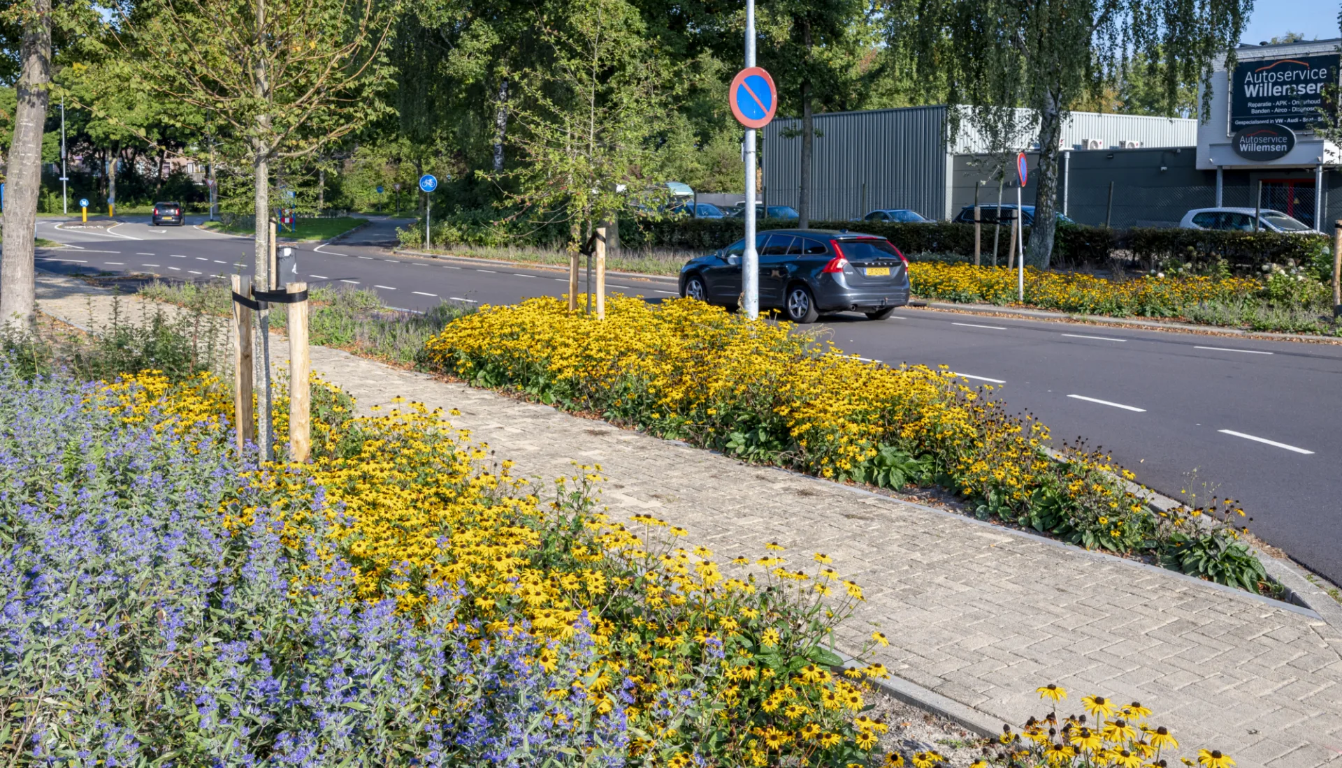 T Holland Duiven September 2025