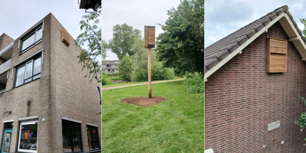 Vleermuiskasten 800x400