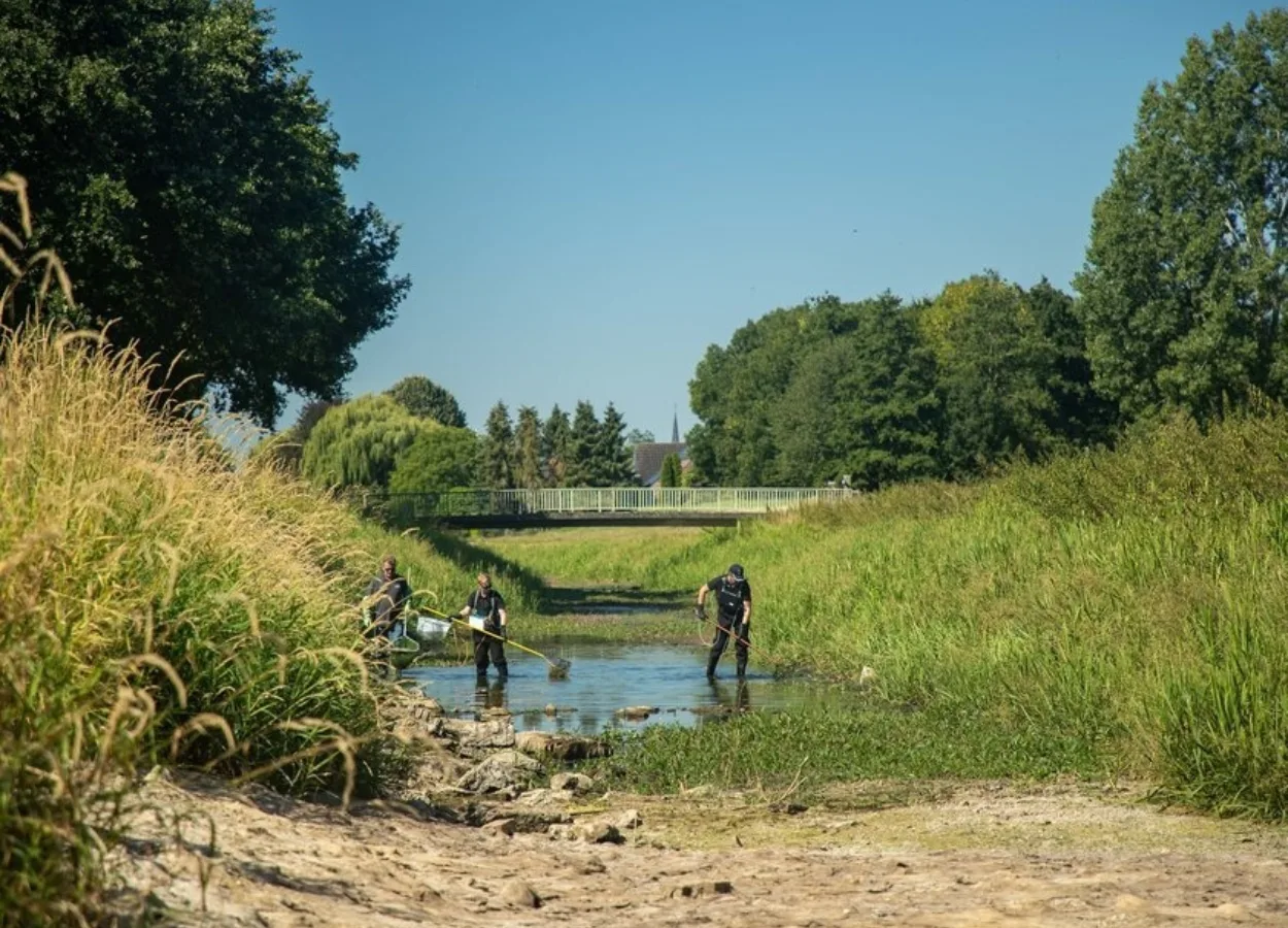 Visreddingsactie Boven Slinge 2e16d0ba fill 840x630