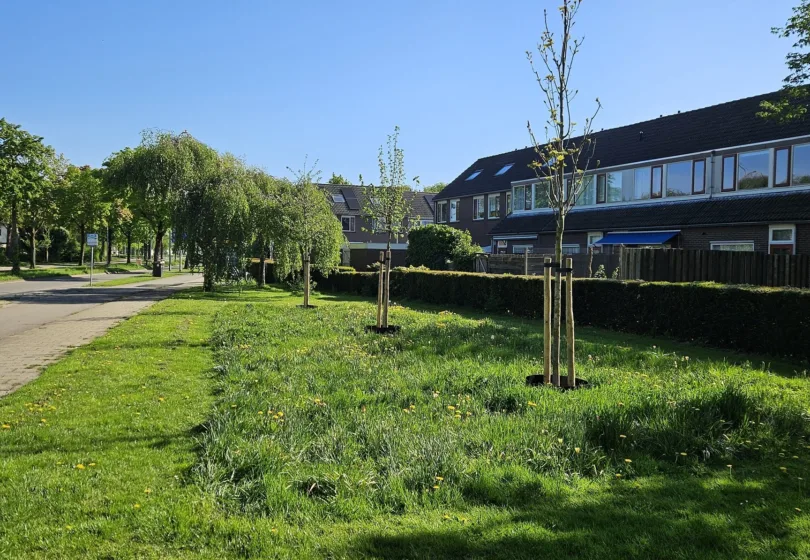 De Vergert aardgasvrij