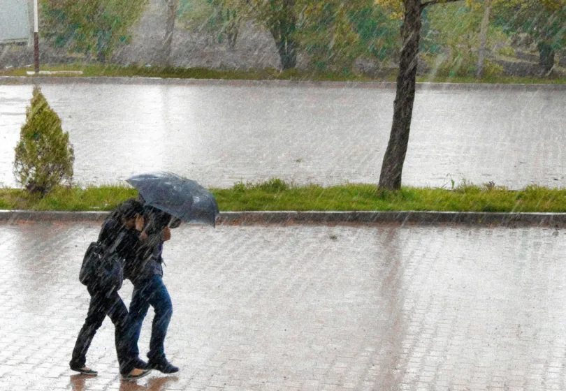 Ontwerp zonder titel 1