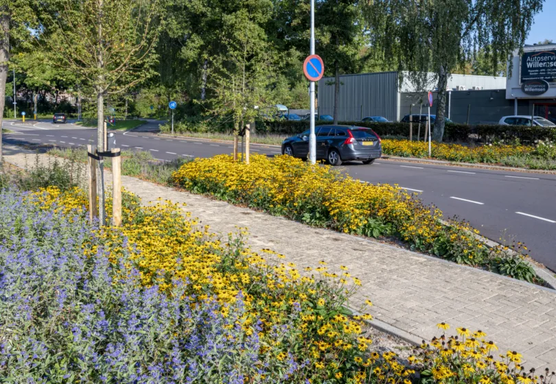 T Holland Duiven September 2025